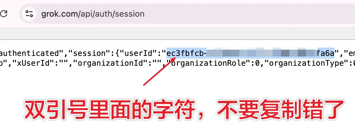 从 Grok Session 页面复制 userId